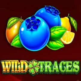 Play the Wild Traces slot by Amusnet Interactive on WildHub Casino